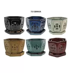 MCarr 12PC 5.3" Hexagon Orchid Pot Mixed Asst