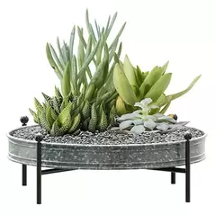Panacea 16" Succulent Planter Tray Galvanized
