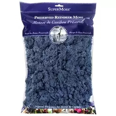 SuperMoss 4oz Reindeer Moss Blue