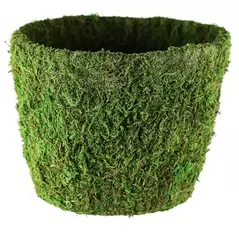 SSI 9" Agatha Planter Green Moss