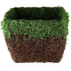 SSI 7-1/2"x7-1/2" Maya Planter Green Moss