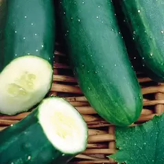 CUCUMBER, MARKETMORE 1/2 OZ. EACH