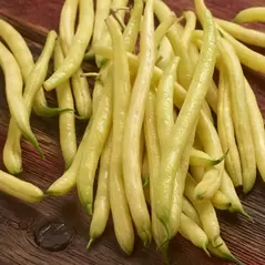 Beans, Kentucky Wonder Wax Pole - 1lb
