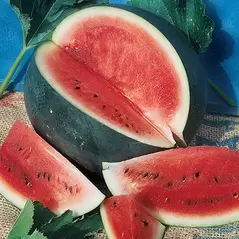 WATERMELON BLACK DIAMOND 1/2LB EACH