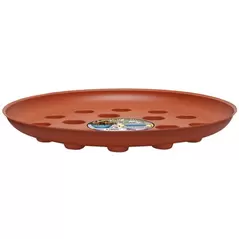 CWP 16" Terracotta Carpet Saver Saucer