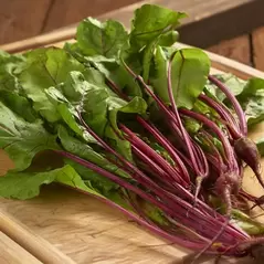 Beets, Bull'S Blood - 1/2lb