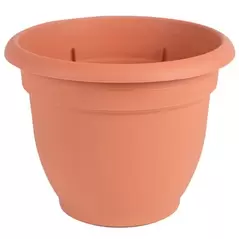 Bloem 8" Ariana with Grid Planter Terra Cotta