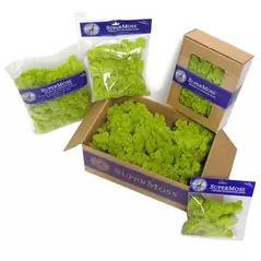 SuperMoss 4oz Reindeer Moss Red