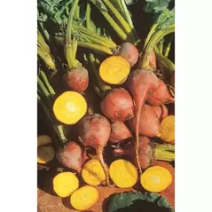 Beets, Golden Detroit - 1/2oz