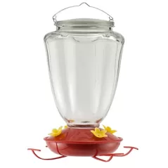 Woodlink Glass Tulip Flower HummingBird Feeder