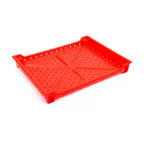 Mini Berry Tray