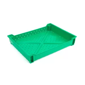 Non Divided Berry Tray