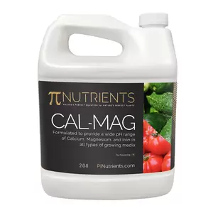 Cal-Mag – Essential Calcium, Magnesium, and Iron Supplement