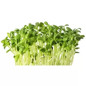 Formulated Plant Food