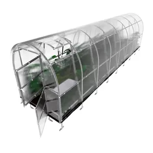 Mini Greenhouse Mini Greenhouse
