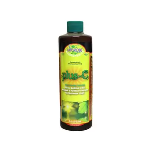 Photosynthesis Plus – C