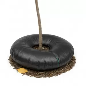 TD24R - For Plants Of 12 Inches Rootball