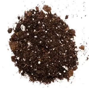 Bloom - Organic Heavy Feed Soil MixBloom - Organic Heavy Feed Soil Mix