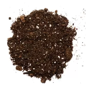 Sprout - Organic Seed Starting And Potting Soil Mix