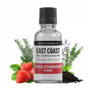 Hybrid Strawberries Terpene Profile Wax Liquidizer (Hybrid)