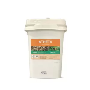 Atheta Bucket - Natural Enemies