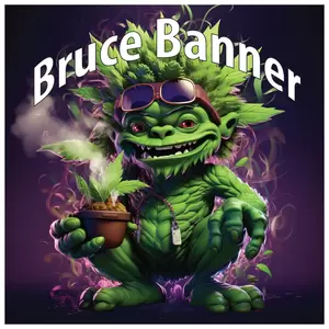 Bruce Banner - Tasty Terp Seeds