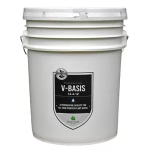 V-Basis (14-4-12) - Beanstalk