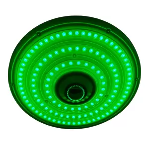 Green Diamond 12MP Security Camera - InfraGreen Systems