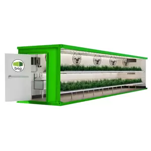 40-Foot Cannabis Grow Room - Box4Grow