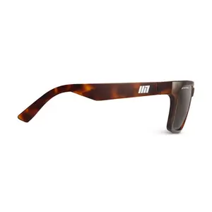 Evolution Sun Tortoise