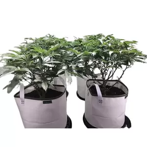 "Eclipse" Solar Shield Soil Protectors