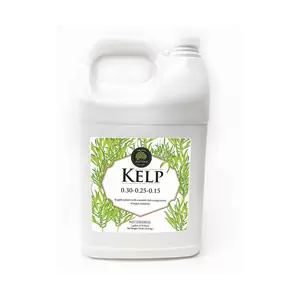 Age Old Kelp, 1 gal