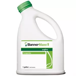 Syngenta Banner Maxx II 1Gl (2/Cs) AGENCY ( propiconazole )