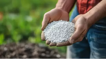 Understanding Granular Fertilizers: How They Work and Best Uses