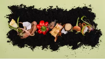 Home Composting Guide: Create Nutrient-Rich Soil Easily