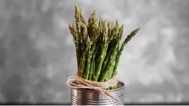 Asparagus growing made easy: Tips for perennial harvests