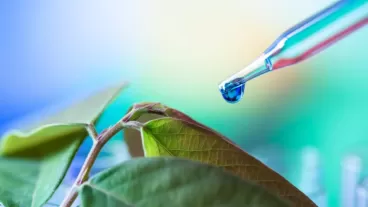 Advanced Nutrient Solutions