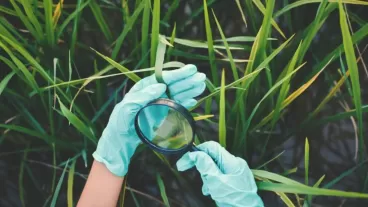 Biological Crop Protection