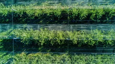 Boosting Agricultural Efficiency