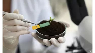 A step-by-step guide to testing soil pH for optimal plant growth