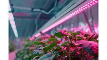 advanced grow lights