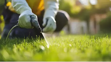 Starting Strong: The Importance of Using Starter Fertilizer in Lawn Care