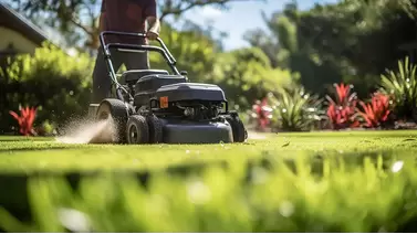 When and How to Aerate and Overseed Your Lawn for Optimal Growth