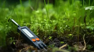 Choosing the Best pH Meter for Your Garden Needs