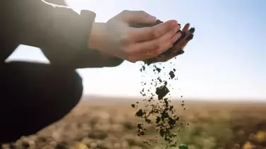 boosting soil health naturally