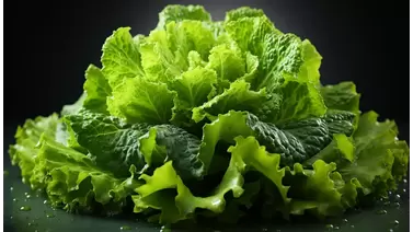 Growing crisp lettuce at home: Easy tips for fresh greens