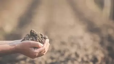 Building Soil Health