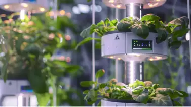 smart indoor farming