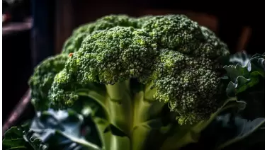 Broccoli growing guide: Tips for delicious home harvests