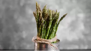 Asparagus growing made easy: Tips for perennial harvests